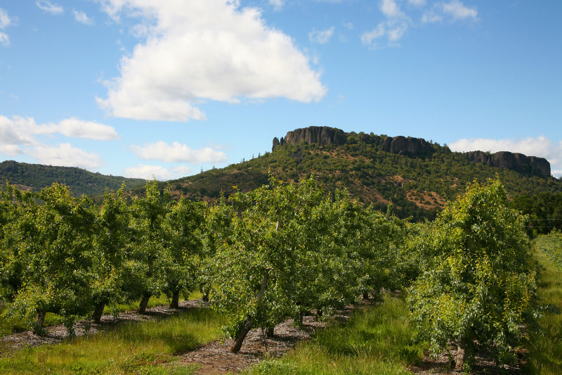 Southern Oregon