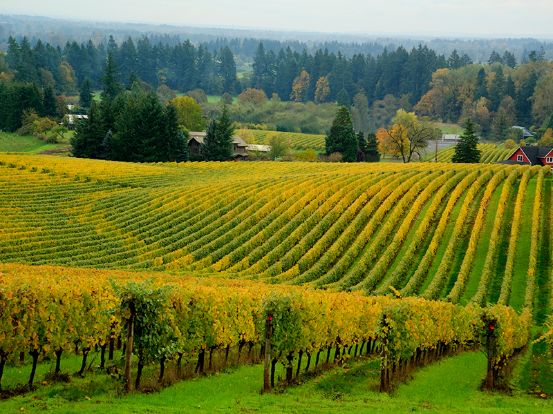 Willamette Valley